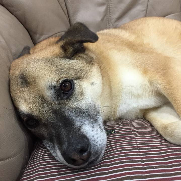 6def6e41 8f30 4cdf bd72 bac8a7f676d0