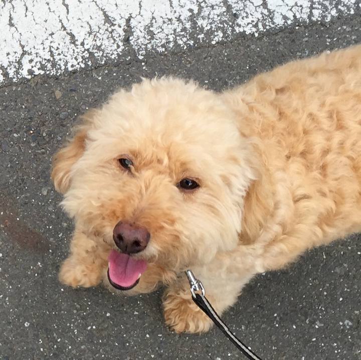 6defa0df bd2c 434b 81d4 0fccdbac4541