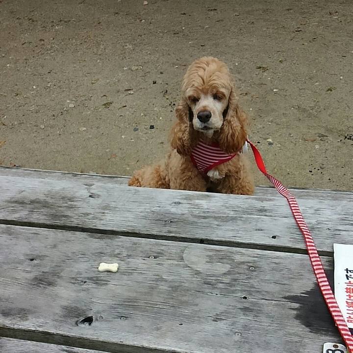 6df003a1 ab67 4506 a892 dd28cf2dfe5e