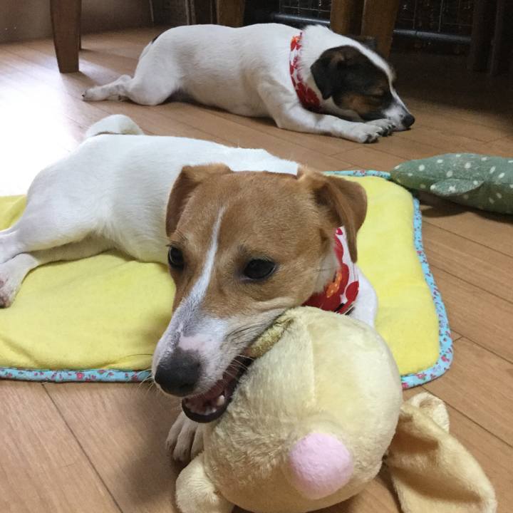 6df04e7d e4f7 429b b647 82072a0445c7