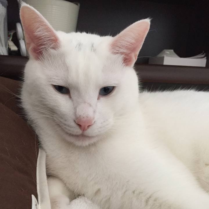 6df07e8f b07c 4976 a249 877977fbf4ea