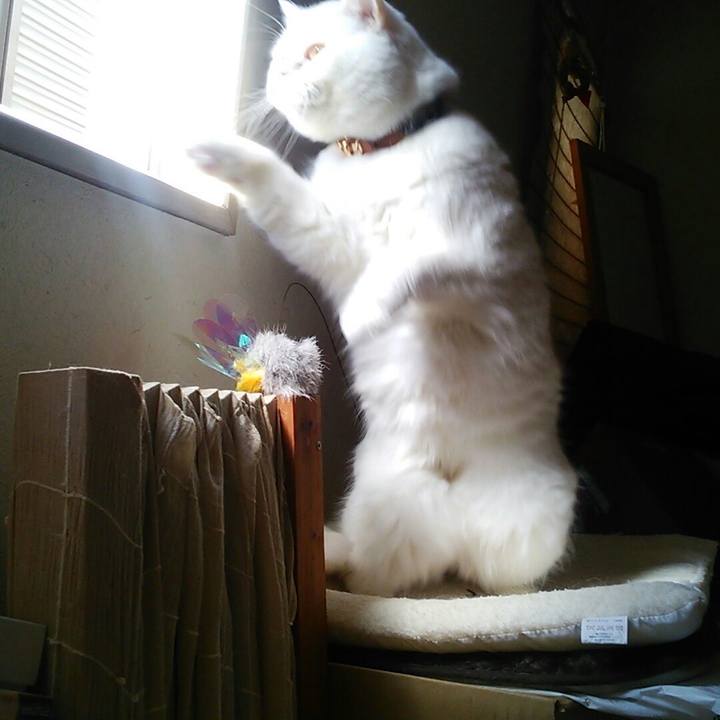 6df0f05c 5f02 429d 89e2 c20729b83d8f