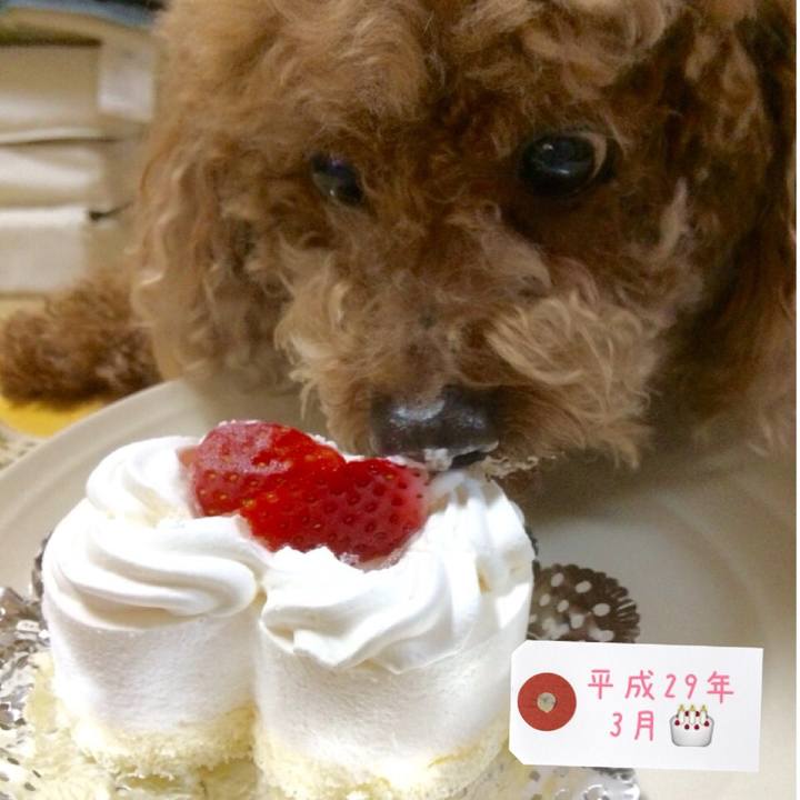 6df1993a 85fe 4fd5 a374 3a08c6bf683d