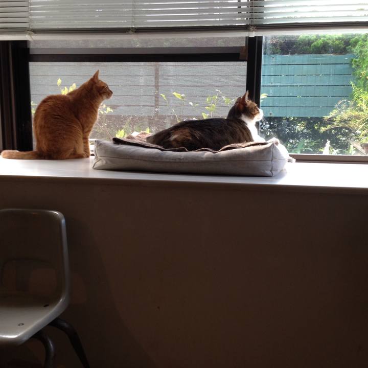 6df1d121 c68b 499e 8048 c7de17472e93