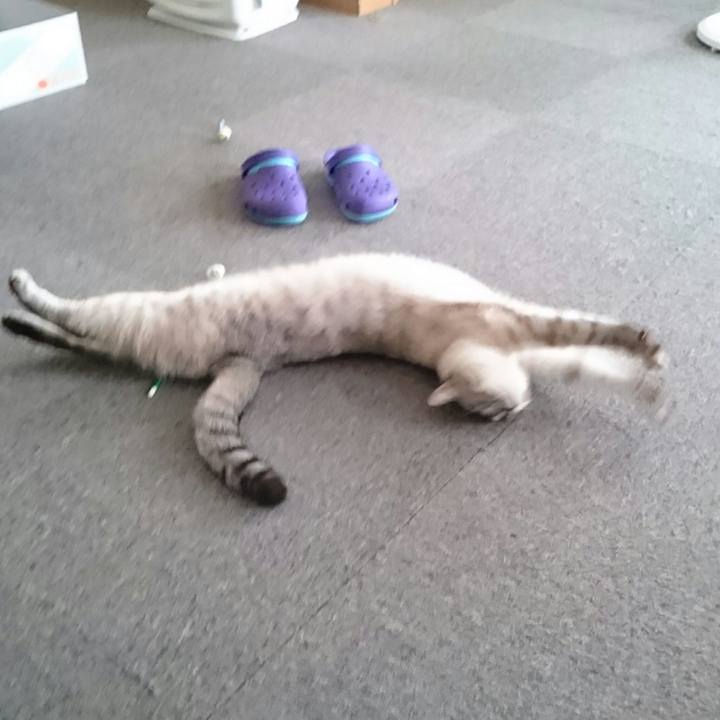 6df22223 4a80 4d83 b32e f4c449dfd3c3