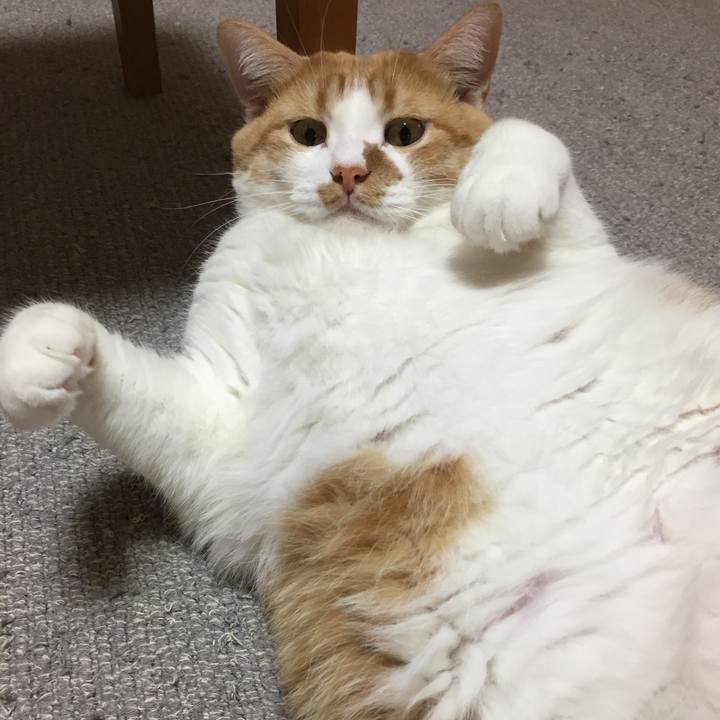 6df24e14 4056 4136 b8a3 3cc925ea743a