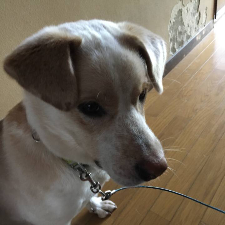 6df25083 d1ee 4a95 ae8a 24170713b0de