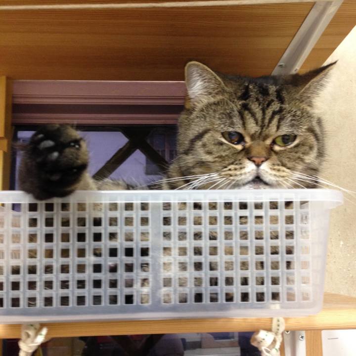 6df2991a 912e 46c3 bd16 368a86e0aadc