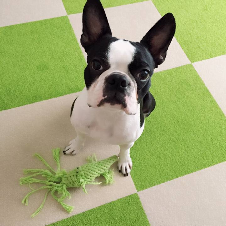 6df40b24 c8a3 4604 a22f 0b37d188d68b