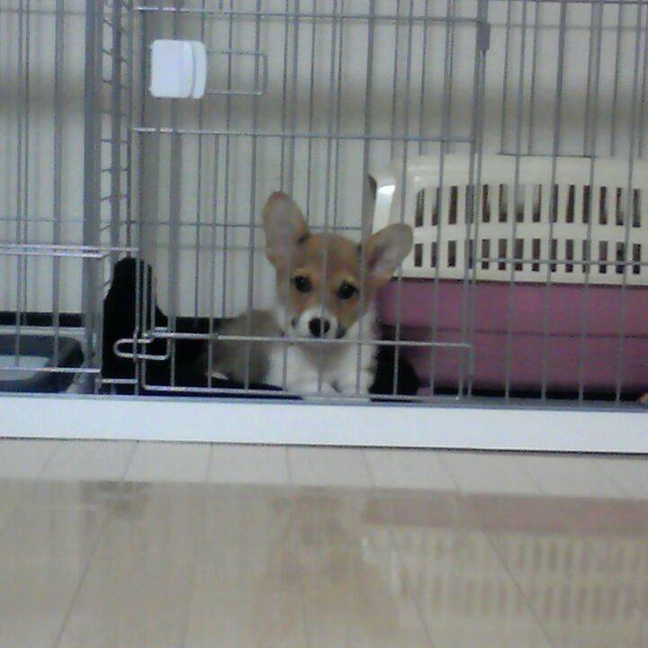 6df435fb 4b51 4cbe a47d 6c48587048c2