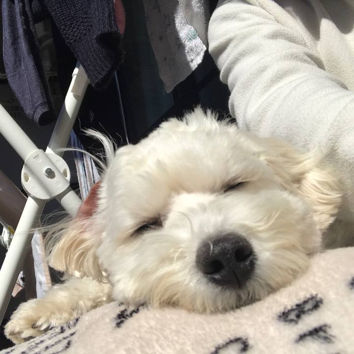 6df4854d 6b8d 4439 8c4e c16ced13f921