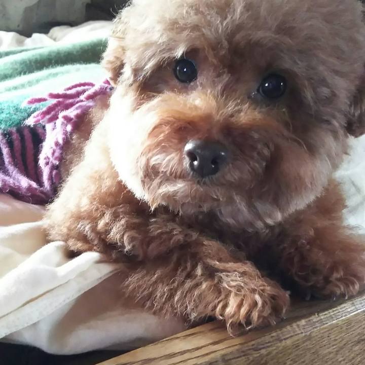 6df4e269 1929 49ae 94de 8e93454ee7c0