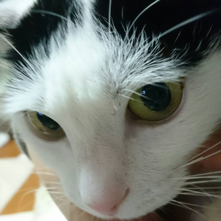 6df55f63 714e 4336 aa12 54a1777ed708