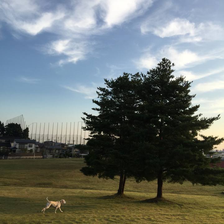 6df63774 33db 4bce b932 ed9f413a460f