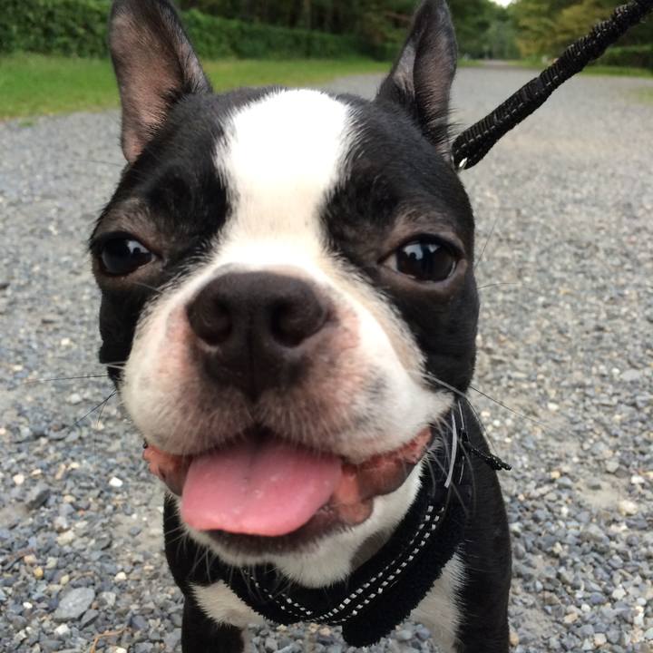 6df69e7f 19f6 4fca 95e2 d22177392793