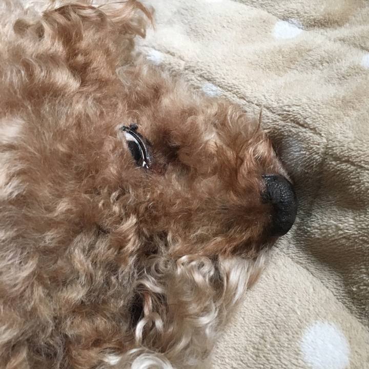 6df6f840 ce47 49ab ab2c b0a4c15d6b5d