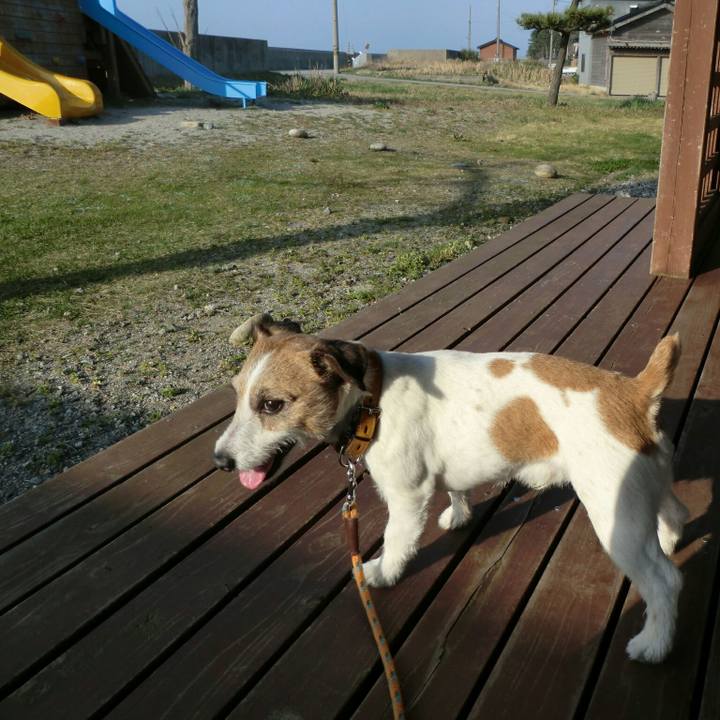 6df741a0 f613 45a4 9771 e9e7511615c8