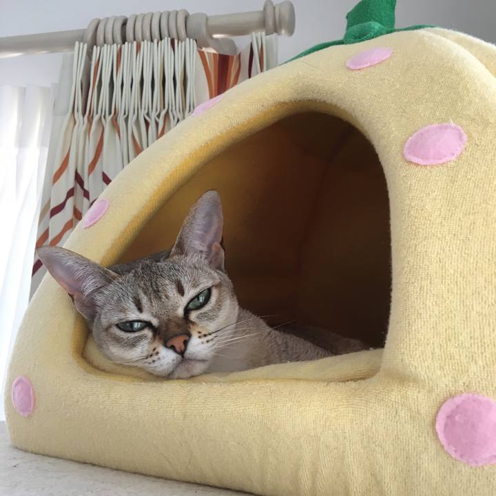 6df896d8 269d 4949 b803 04ab7b2e1845