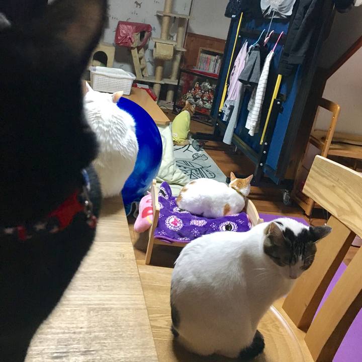 6df89bfc 0ed8 4e63 958e 3c96b0da6c08