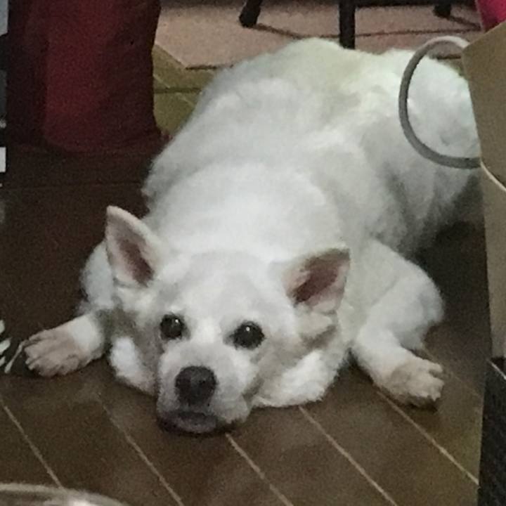 6df8c62b 7e1a 4cf5 a6c4 4237eb06721c