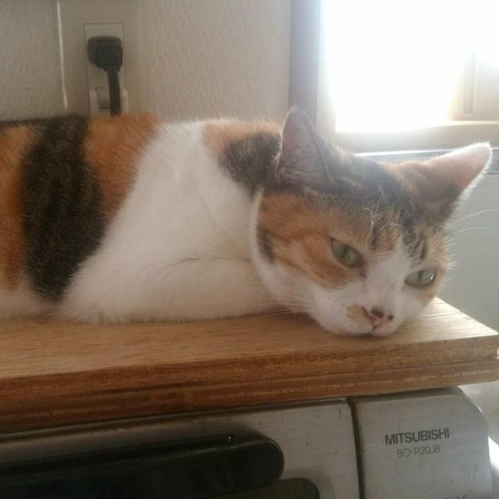 6df91ed5 dde3 494a ad96 fb54ac11d84d