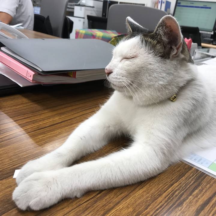 6df9600d daec 4a9b b766 e4ce119758d4