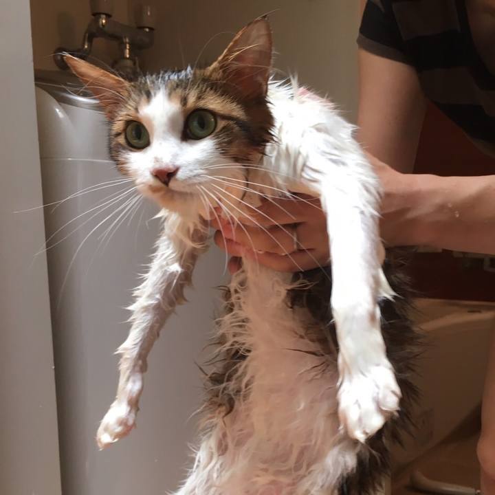 6df9baf6 f358 4478 8fcb fc6725d80d5c