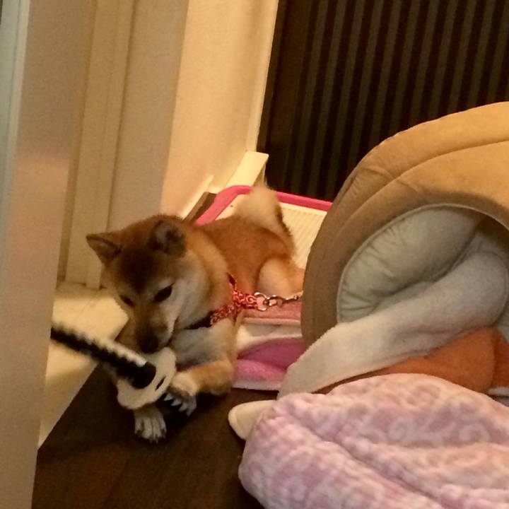 6df9ed96 2022 44ca 84d2 23e77b5d7d89