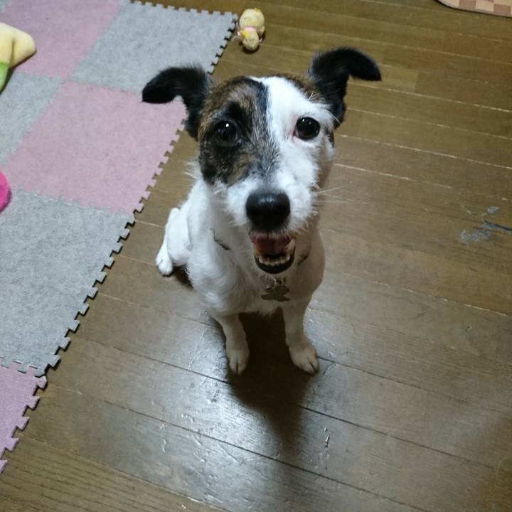 6dfa28f6 ad32 4f8b a43e f302b339badd