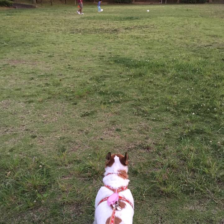 6dfb4afe 39b9 4175 bdc1 3e3b57c75be3