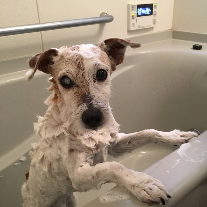 6dfbd47c 84e4 430c ab51 f41610466cb7