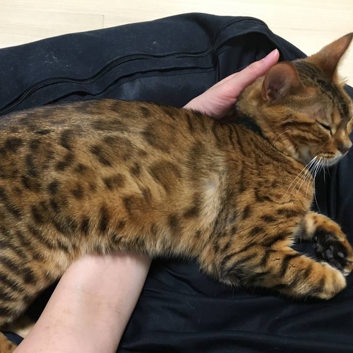 6dfc77c7 3927 4659 9506 4dbde964fa33