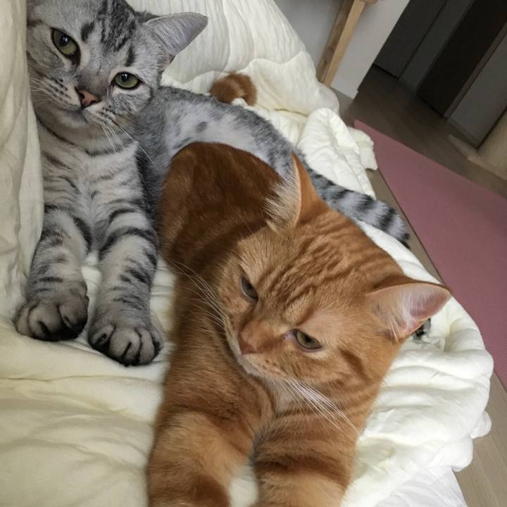 6dfcc742 4513 420e 8a32 c8c4be4e47cc