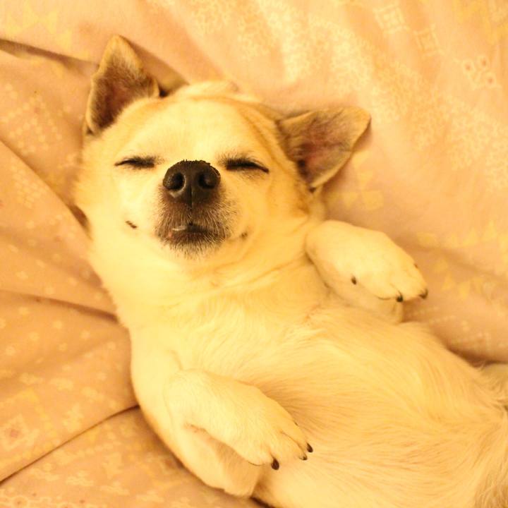 6dfd534c b4f5 4e23 a926 7b2b51ab1921