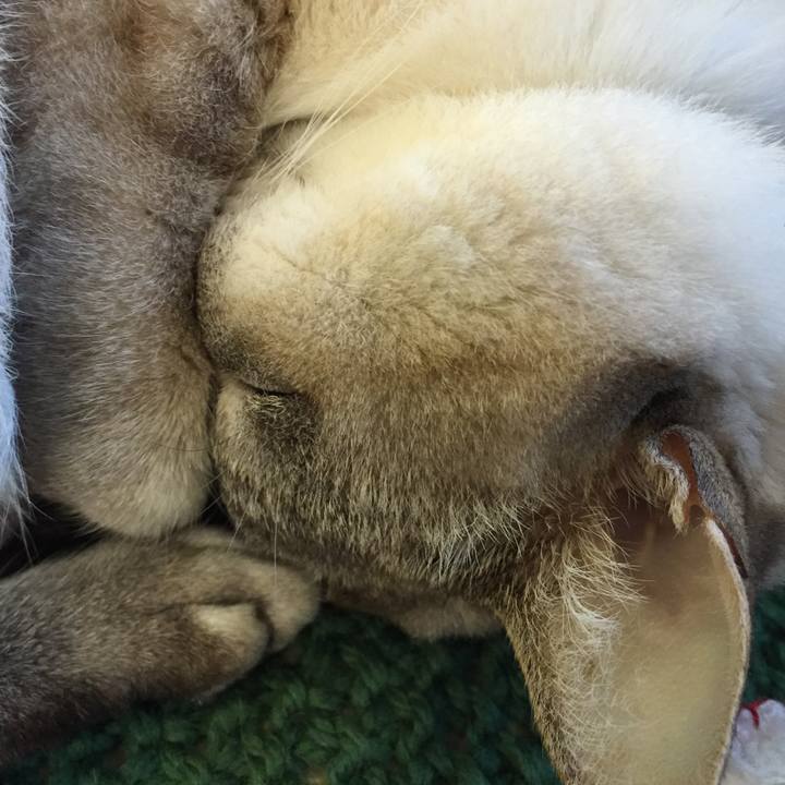 6dff2375 5e7c 4b69 b7fa 79e7166998d7