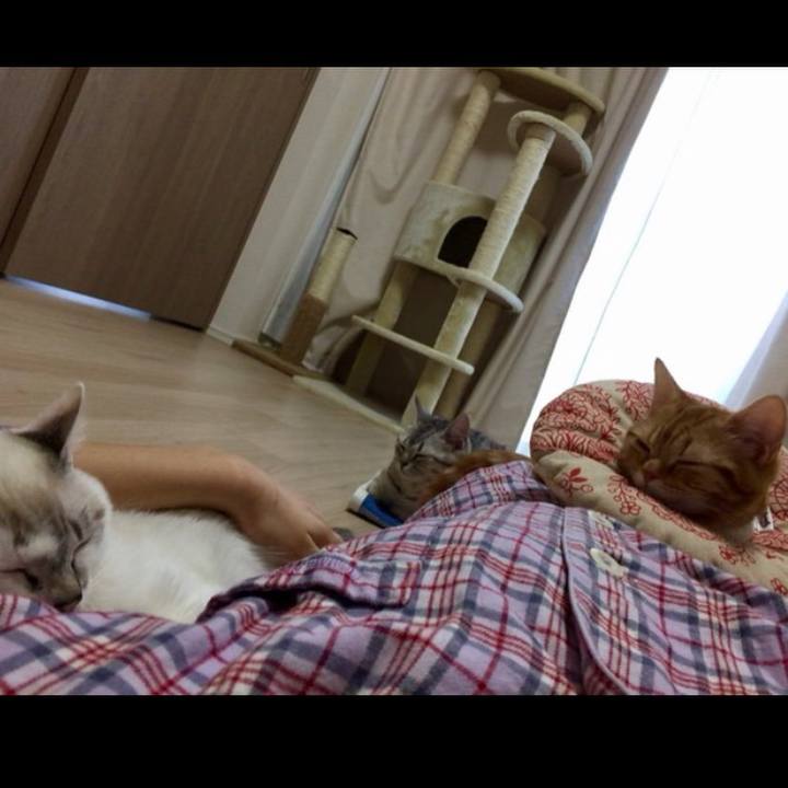 6dffc2d8 114f 42f4 a4df d9851ad00383