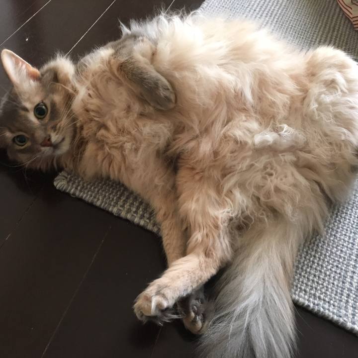 6dfffc08 6116 49da 9109 d37db6d77495