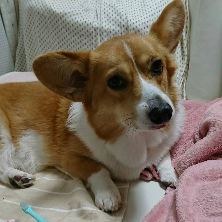 6e001c3b e624 49ac 9a4a 07a6e1530552