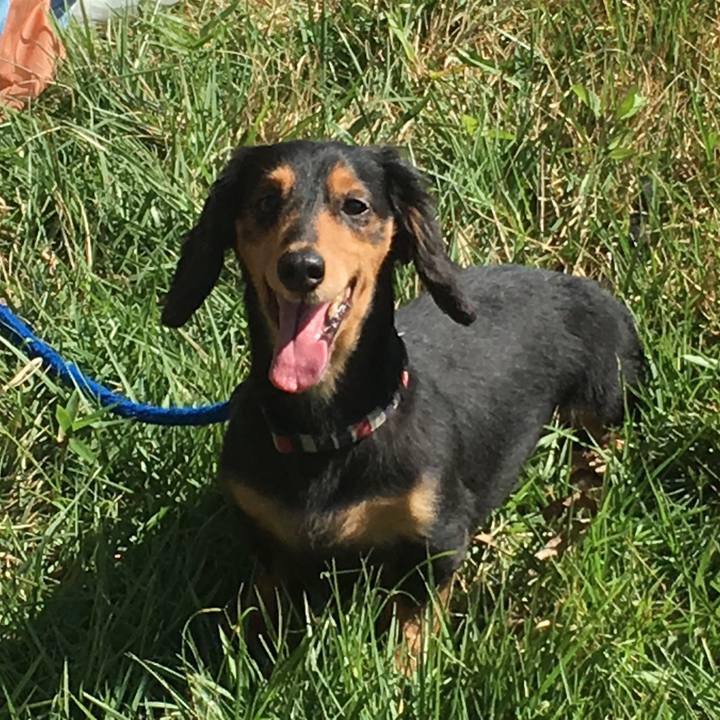 6e002d7e 2be1 4530 95a8 89c8a686c411