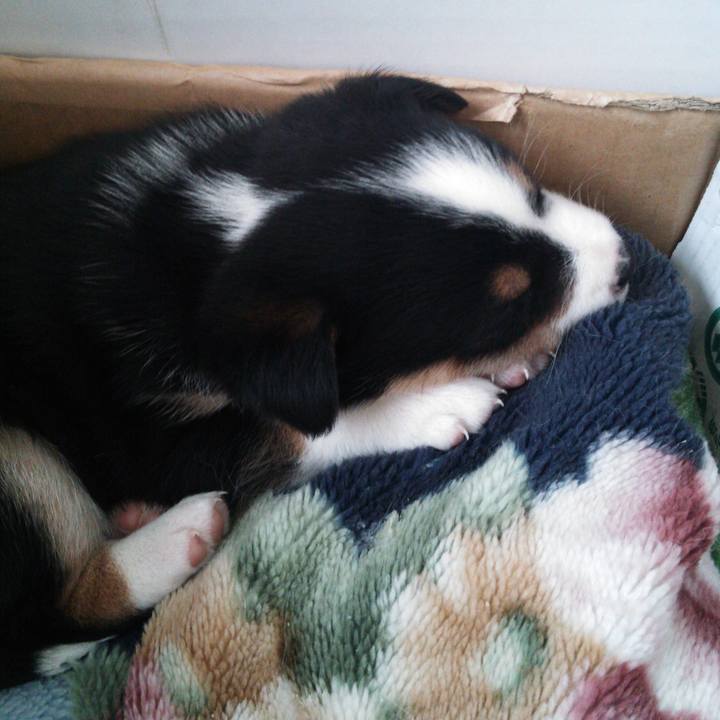 6e014965 63ce 46bc a32d ff37f5508d0b