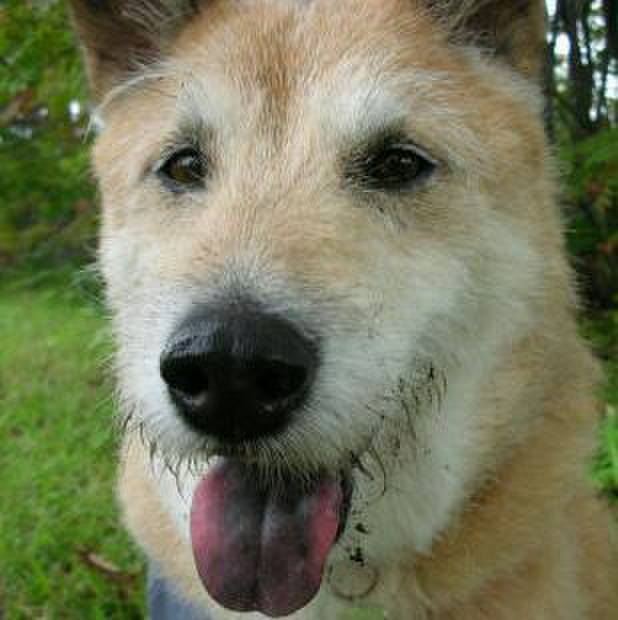 6e01b395 e1db 4362 80fd a18820e04bcc