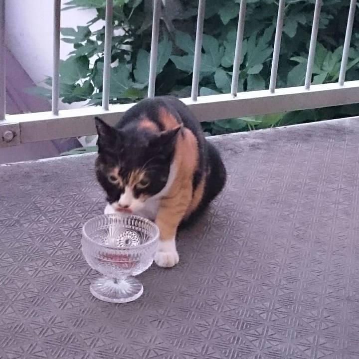 6e02ec23 e7e3 4916 9a82 932b35c938cf