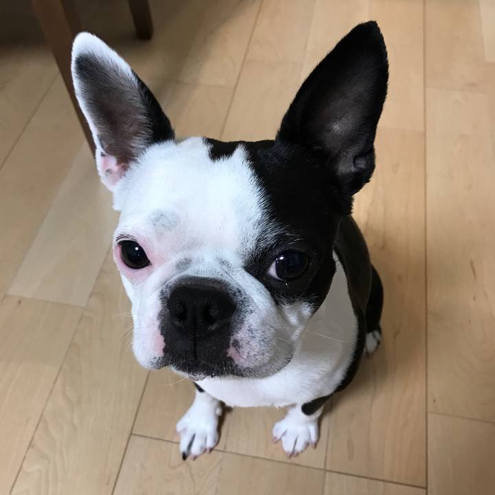 6e03aa2c f888 4dee ae80 a443824f2d5e