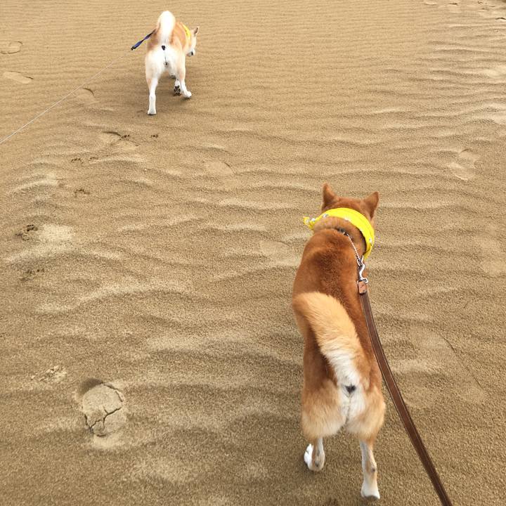 6e0643a1 c63f 4fdb b2e9 68e806b8dead