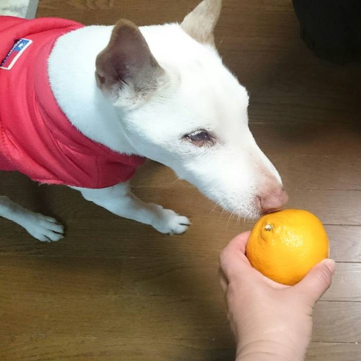 6e066485 5587 45fe 9385 b9b9647547e0