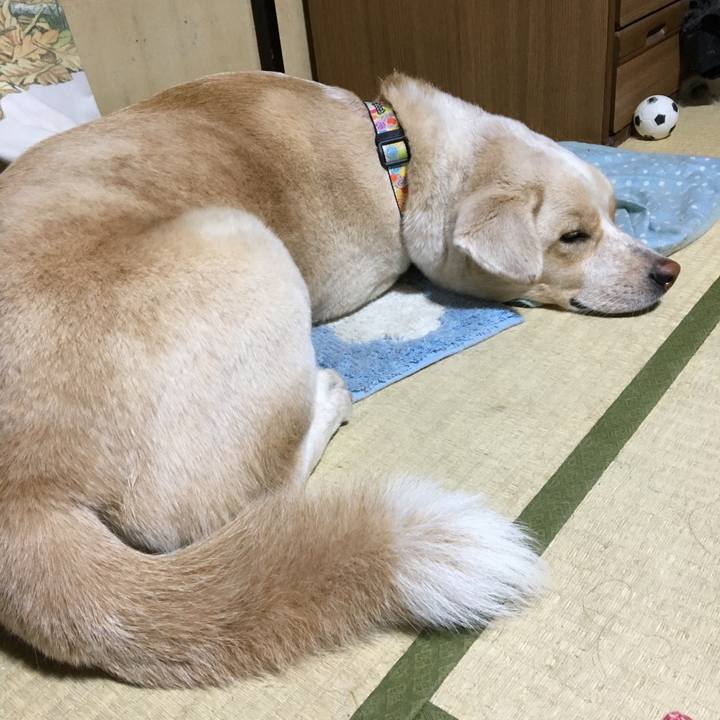 6e074f28 28b0 4472 ad2e 514c94e18e4a