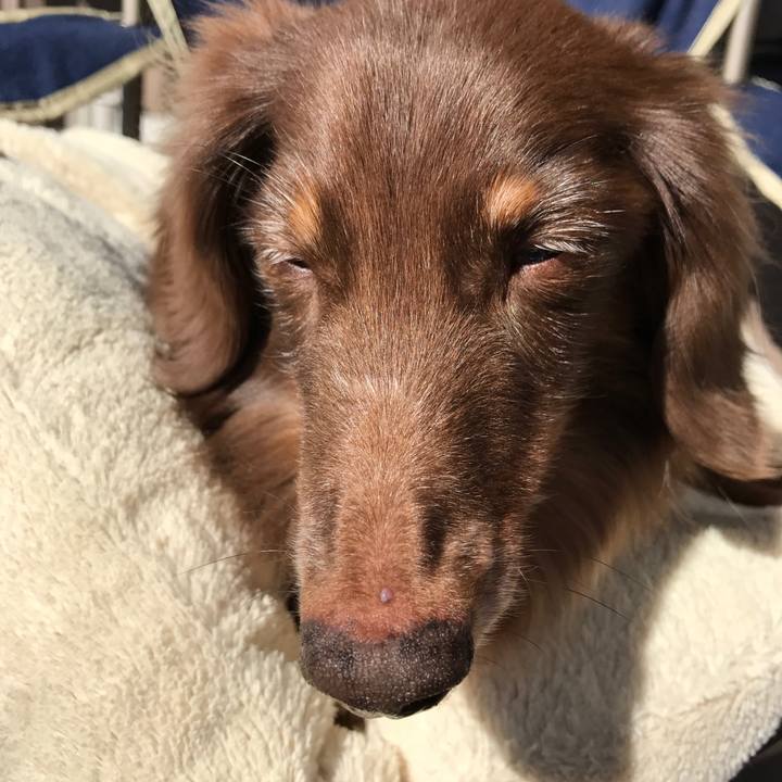 6e075641 7028 4061 bf70 0af62f3e0eae