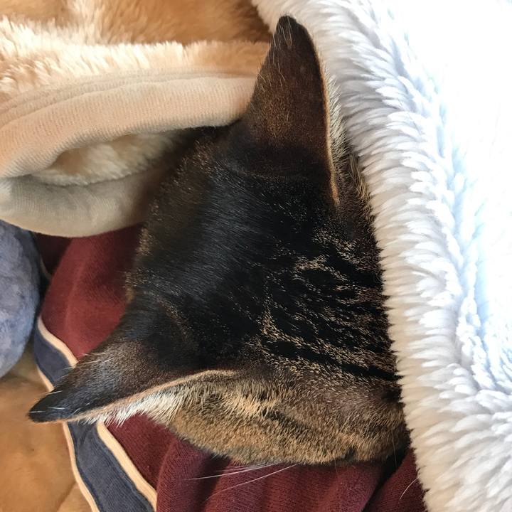 6e075fb8 e742 4f2f 9f72 e45acb886c9b