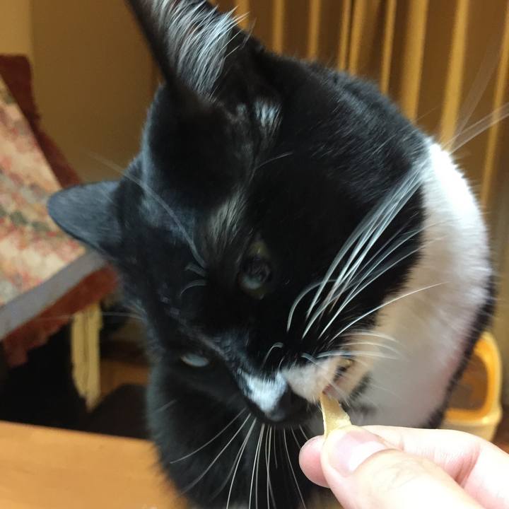 6e076eb0 c769 421e b01f 43a4826dc386