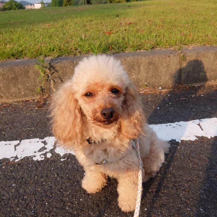 6e085b2e 9e32 4217 a2df 372c9b0aacd4